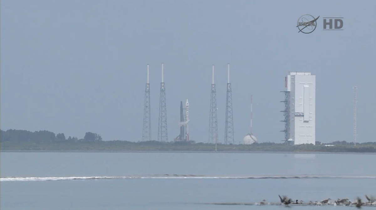 Waterfowl Near MAVEN Launch Site