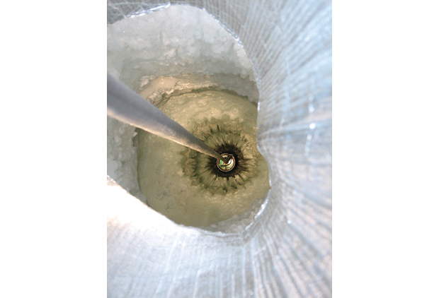 Digital Optical Module in IceCube Neutrino Observatory