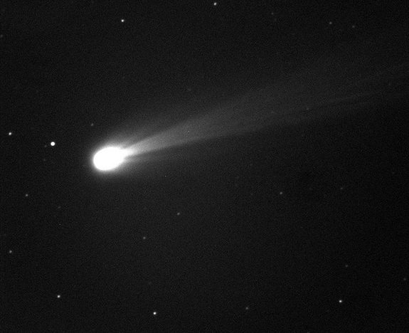 Comet ISON shines brightly in this image taken on the morning of Nov. 19, 2013. This is a 10-second exposure taken with the Marshall Space Flight Center 20" telescope in New Mexico. The camera there is black and white, but the smaller field of view allows for a better "zoom in" on the comet's coma, which is essentially the head of the comet.