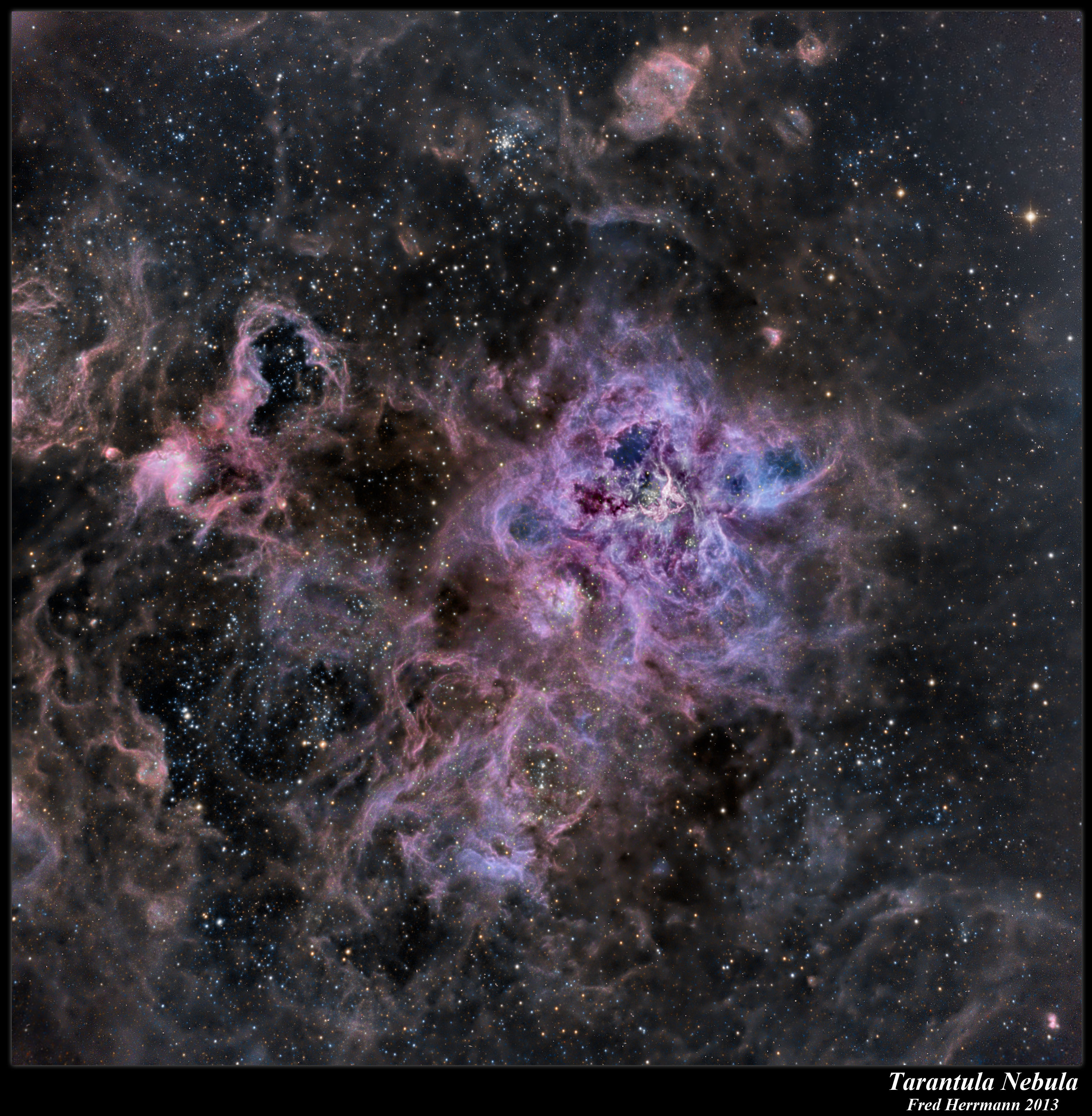 Tarantula Nebula by Fred Herrmann