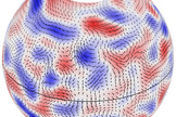 This image shows the paths of giant cell flows on the sun for Aug. 30, 2010. The underlying cell pattern shows westerly winds in red and easterly winds in blue