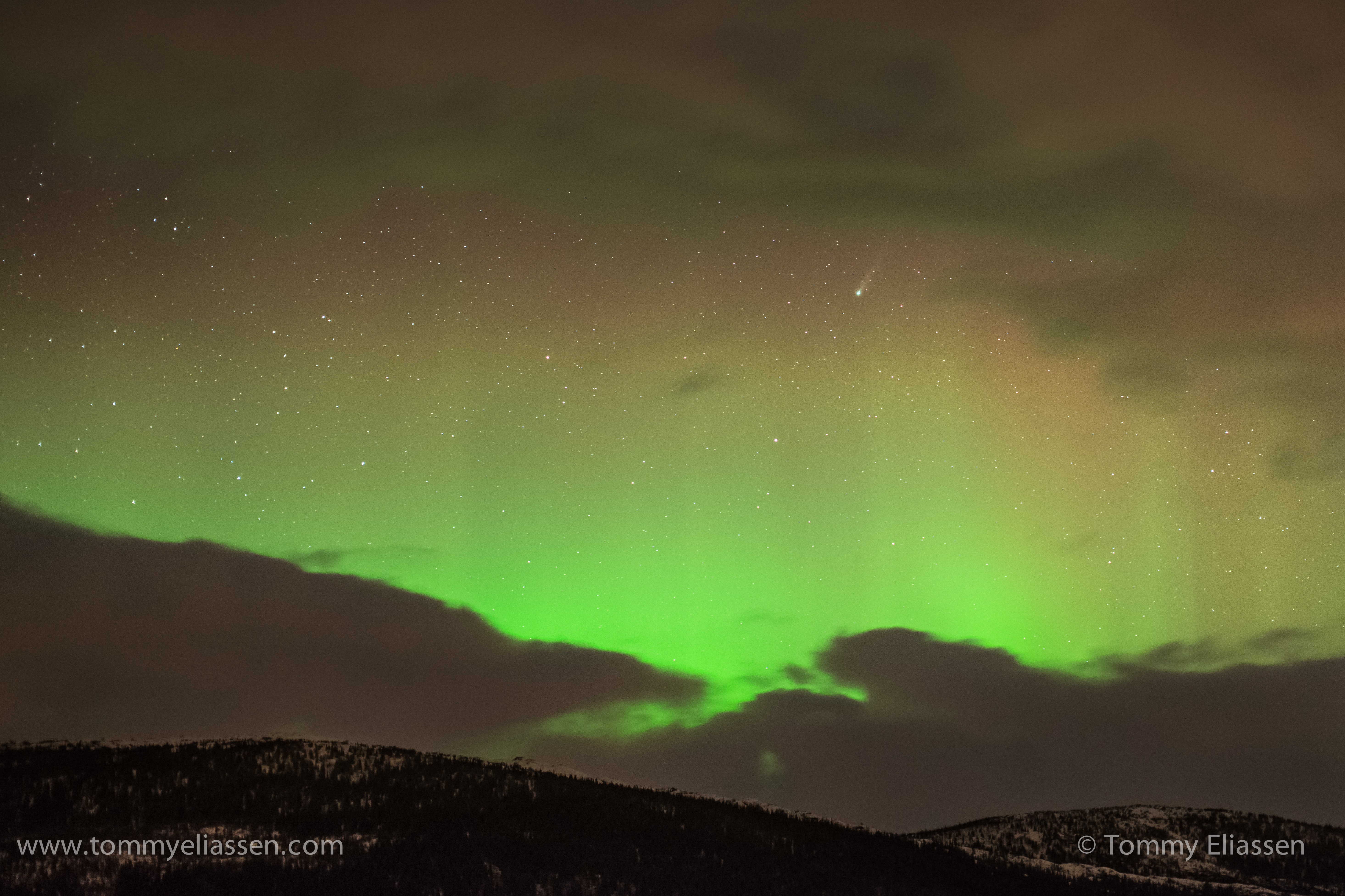 Comet Lovejoy Over Aurora by Tommy Eliassen