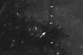 China's Chang'e 3 moon landing site (large white arrow) is seen here in a context view from NASA's Lunar Reconnaissance Orbiter. The small white arrows indicate wrinkle ridge and small black arrows delimit boundary between "red" mare (northeast) and "blue" mare (southwest). This image is 100 km wide and was released Dec. 30, 2013.