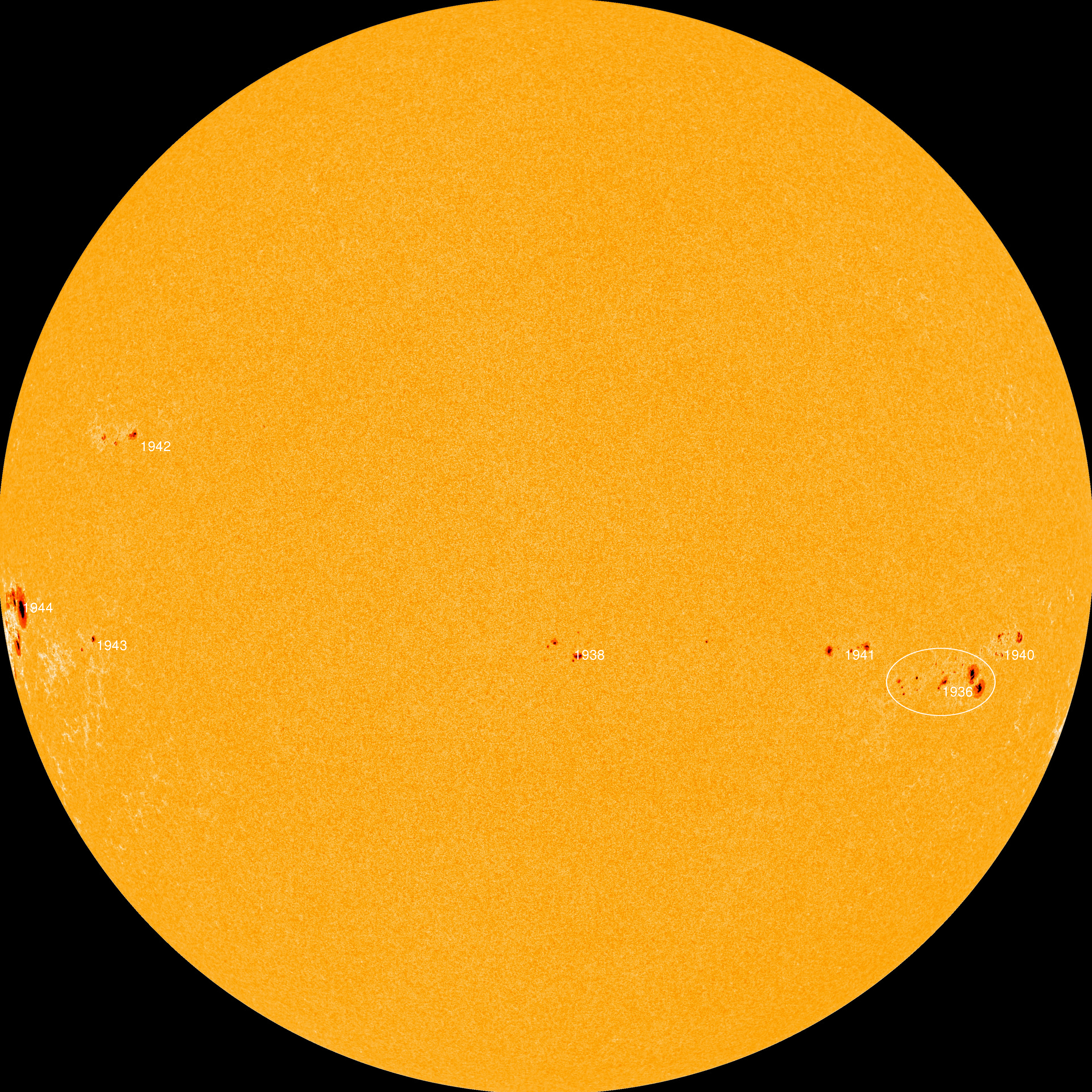 Active Sunspots: January 2014