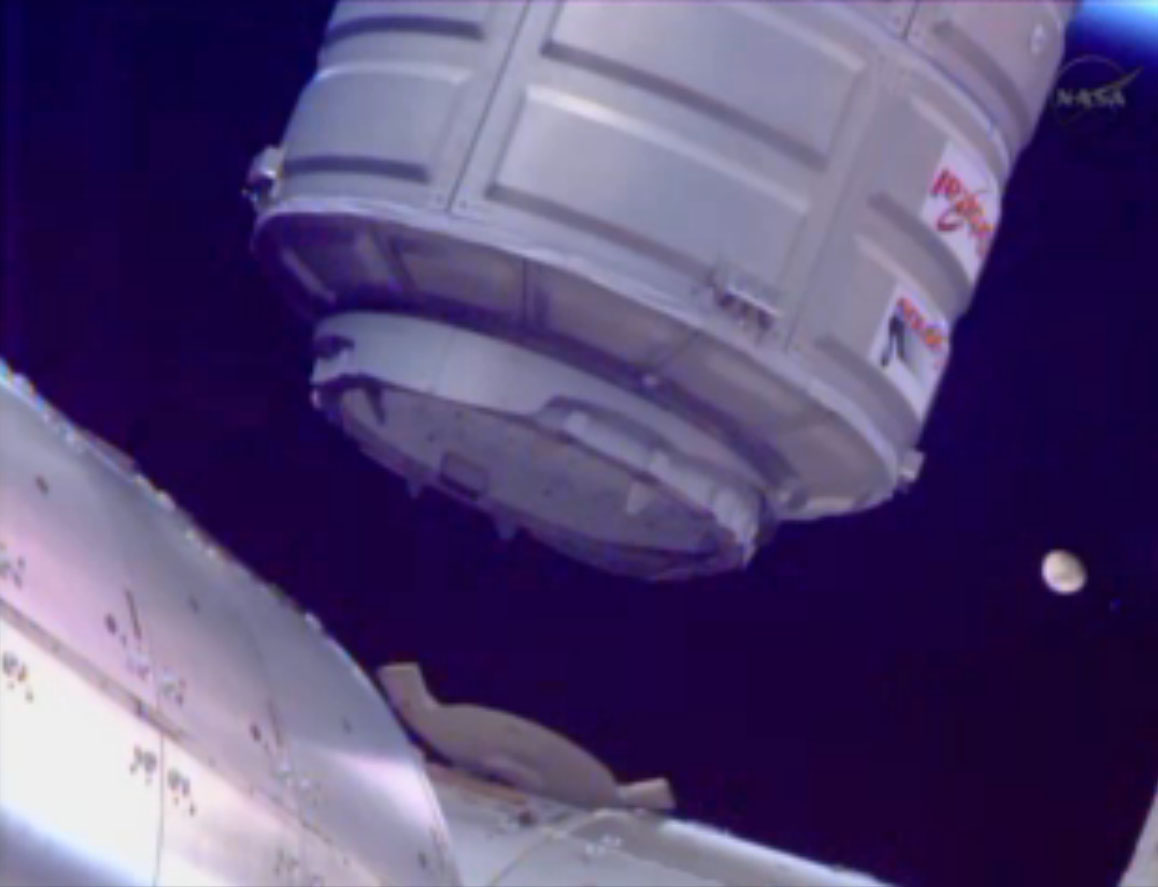 Cygnus and the Moon: Jan. 12, 2014