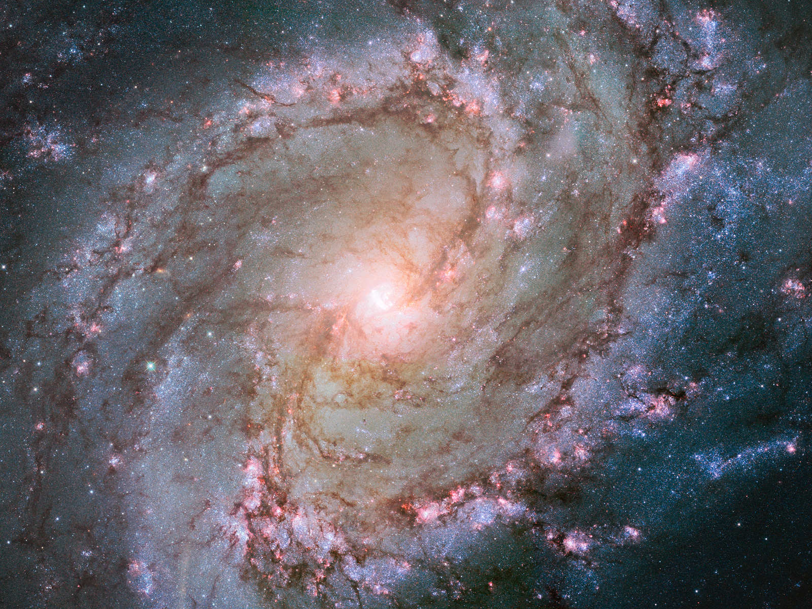 Barred Spiral Galaxy Messier 83 Hubble View