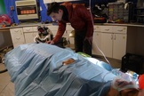 Anesthesiologist Matthieu Komorowski, from Lille 2 University in France, with a mannequin used to demonstrate medical procedures.