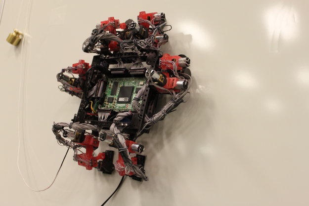 This Wall-Crawling Gecko Robot May Fly in Space One Day (Video)