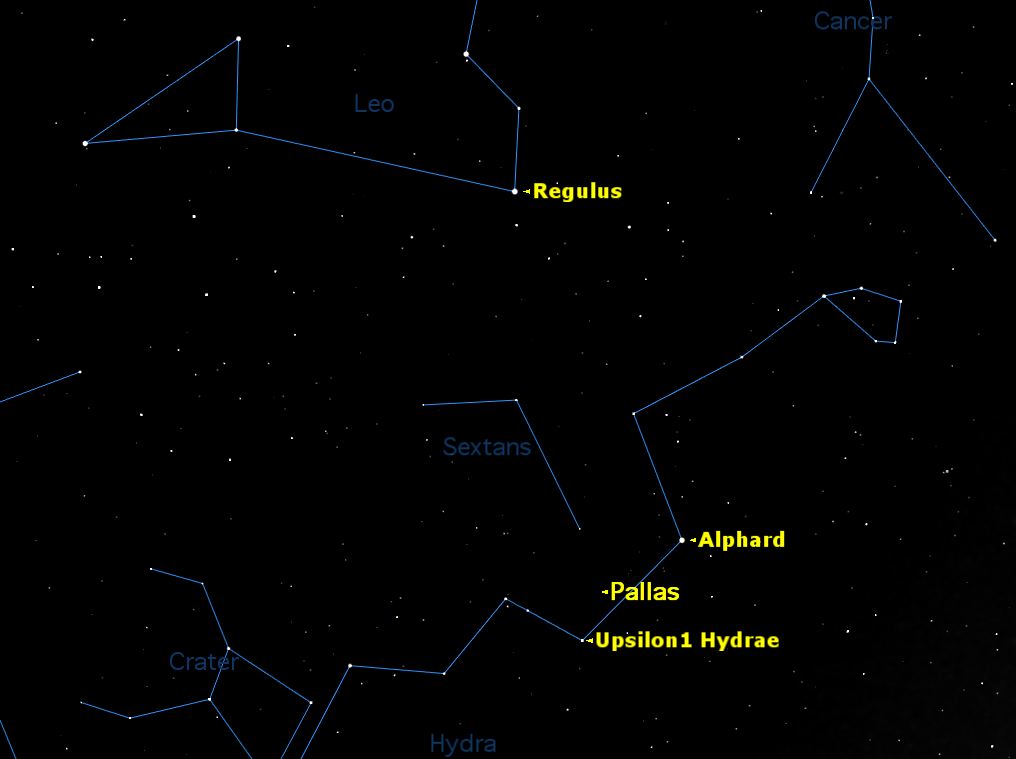 Pallas at Opposition, February 2014