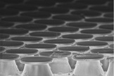 This image shows a microscopic view of the mushroom-shaped 'footpad terminators' on wall-crawling robots. The footpads are inspired by geckos and are made using techniques from the microelectronics industry.