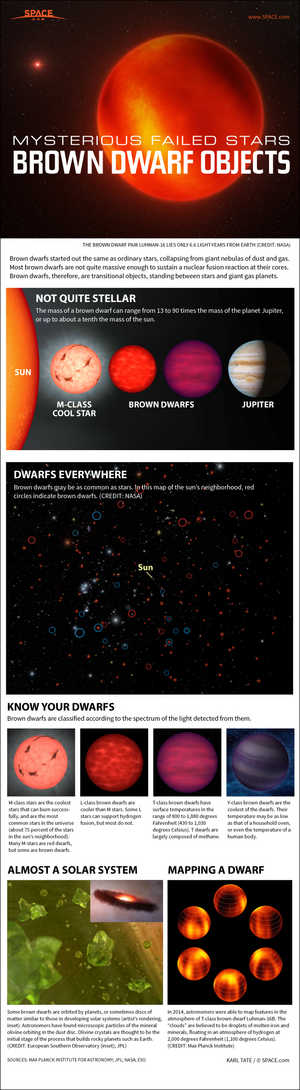 Brown dwarfs are not quite massive enough to ignite nuclear fusion, yet larger than known planets. <a href="http://www.space.com/24467-brown-dwarfs-failed-stars-explained-infographic.html">See how brown dwarfs work in this SPACE.com infographic</a>.