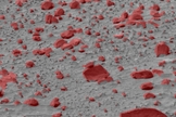 A TextureCam analysis of a Mars image is able to distinguish rocks from soil.