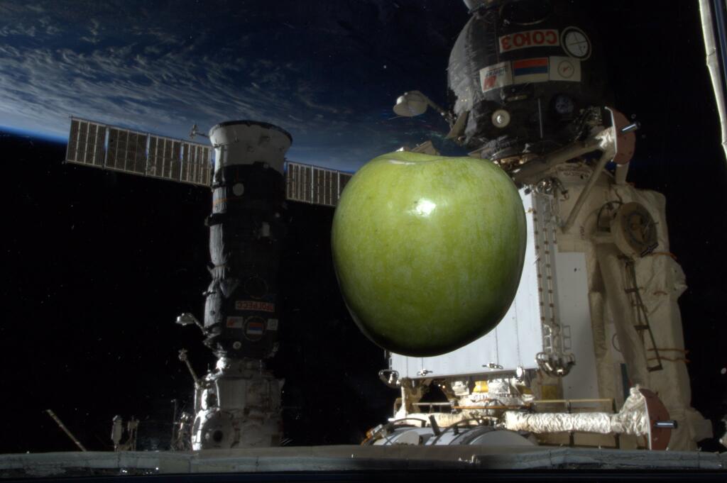 Koichi Wakata: Green Apple in Space