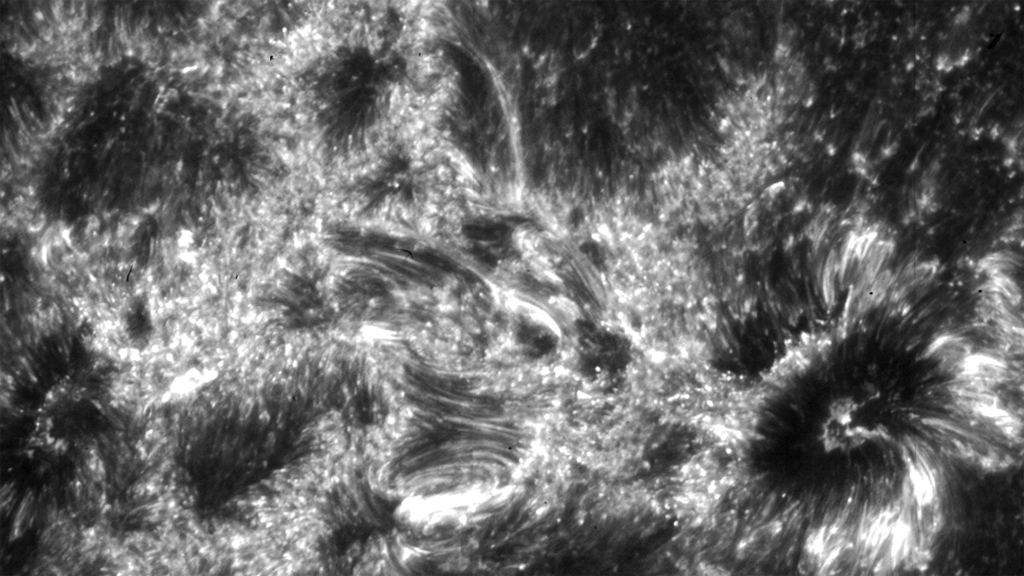 Sun's Interface Region