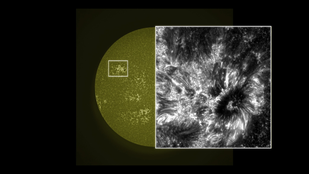 Small Part of the Sun, IRIS