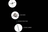 Reach for the sky. Image depicts key elements of a space elevator, from top to bottom.