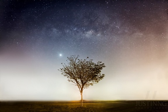 The band of our Milky Way galaxy can be seen along with planet Venus over light-polluted skies above Singapore in this image taken by astrophotographer Justin Ng on Feb. 28, 2014.