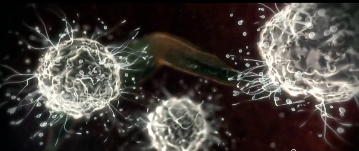 'Cosmos: A Spacetime Odyssey' Television Show #3