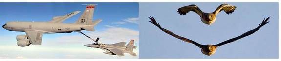 The fighter jet can never be fuel efficient and the refuel aircraft can never be agile. The hawk can morph.