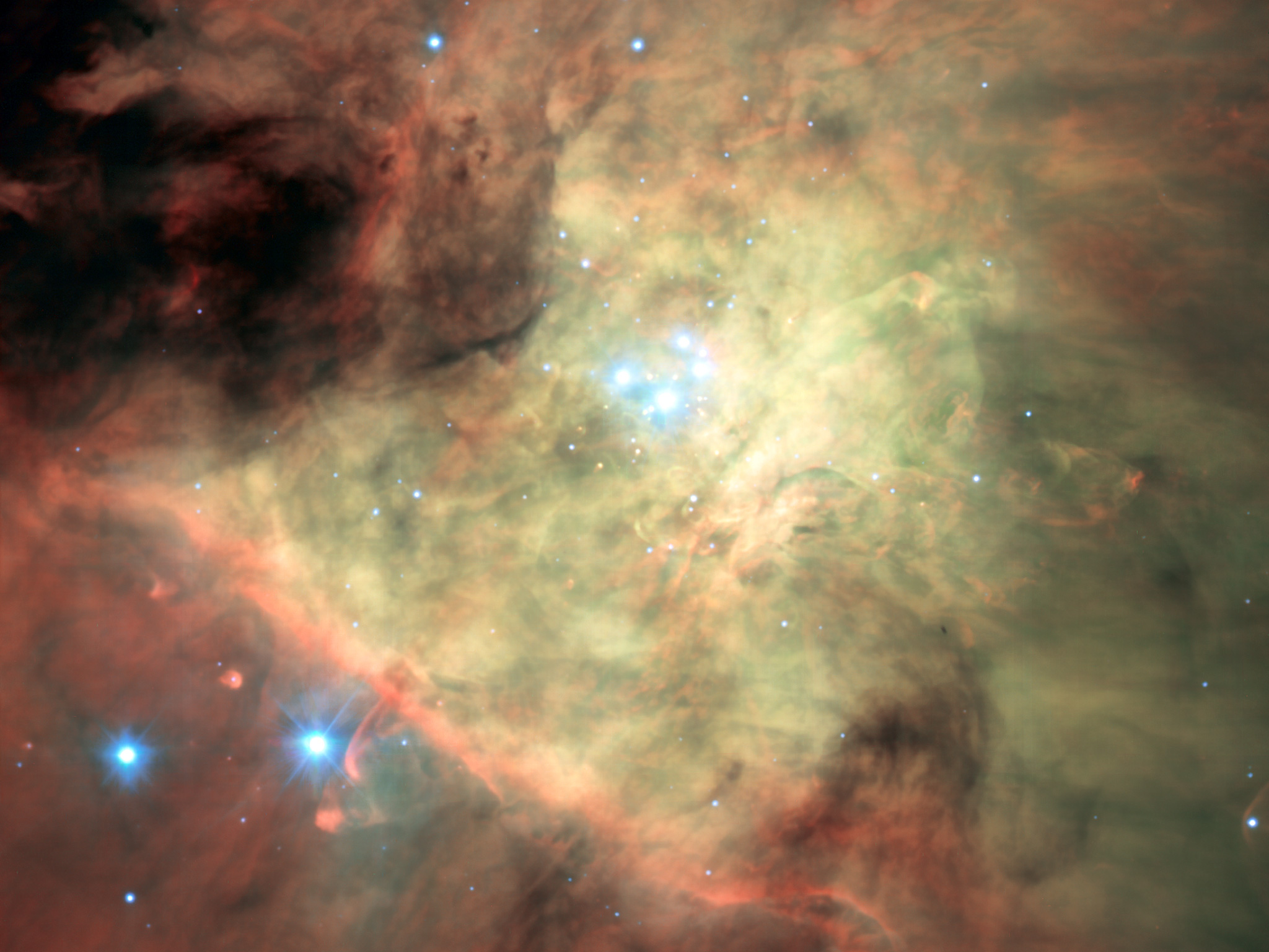 MUSE Look at Orion Nebula