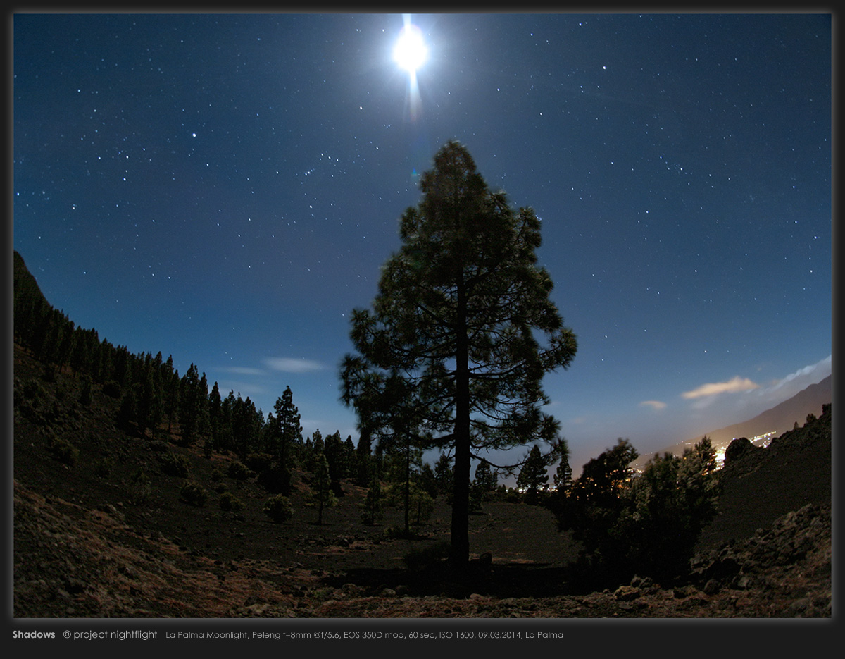 Moonlit La Palma Landscape