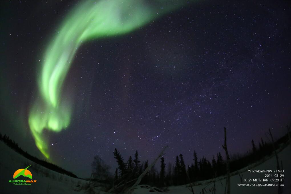 Aurora to the Max