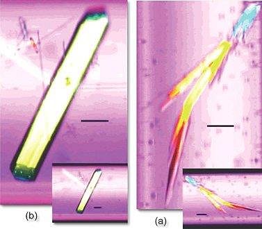 Crystals in a Microgravity Environment
