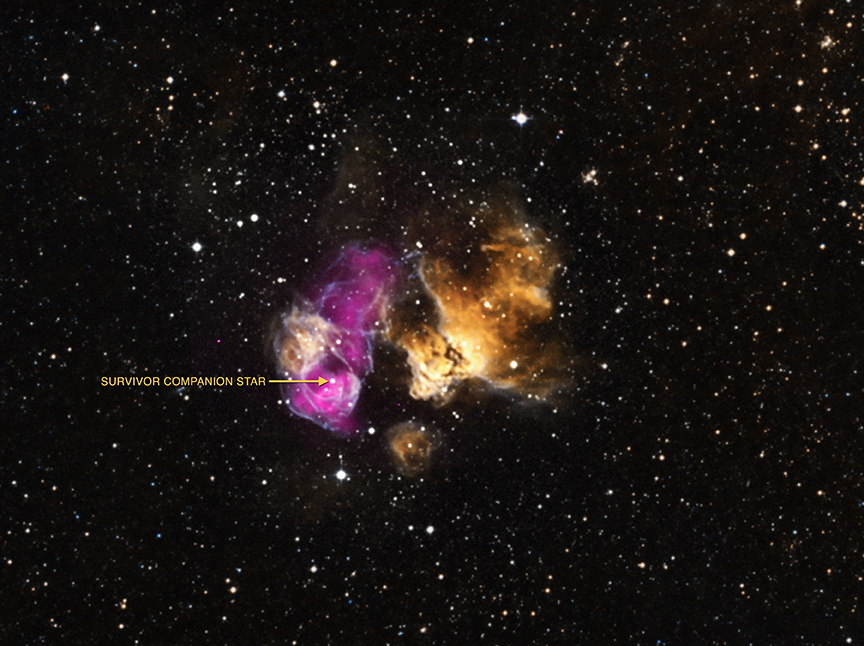 Hard-to-Kill Star Survives Nearby Supernova Explosion
