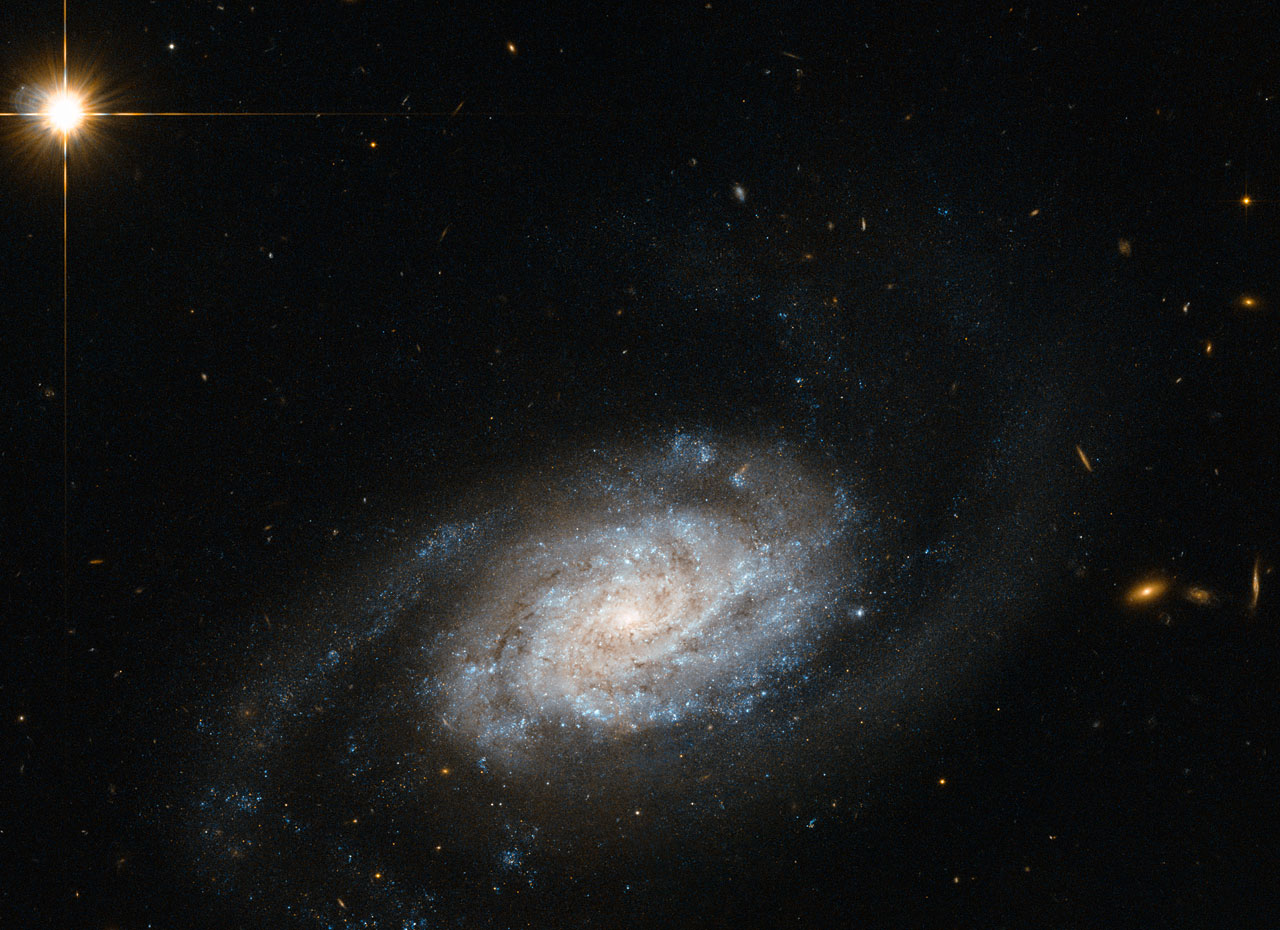 The Long and Winding Arms
