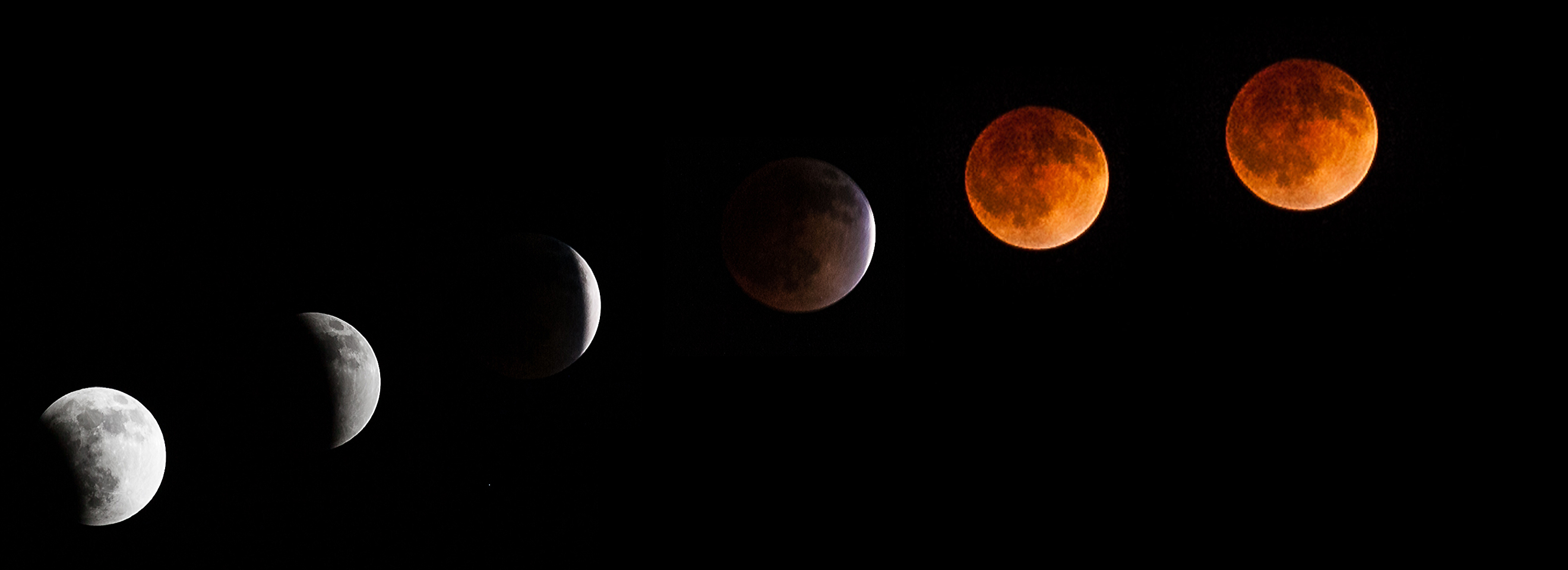 Total Lunar Eclipse of April 15, 2014 Series: Tyler Leavitt