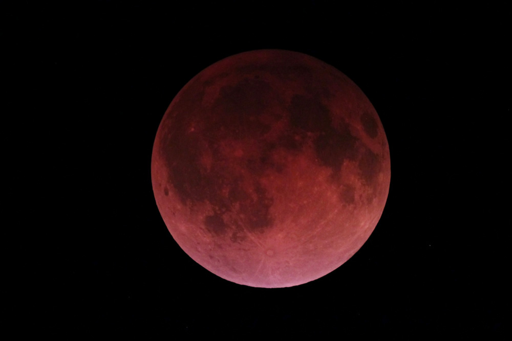 The Blood Moon Total Lunar Eclipse of April 15, 2014: Victor Rogus