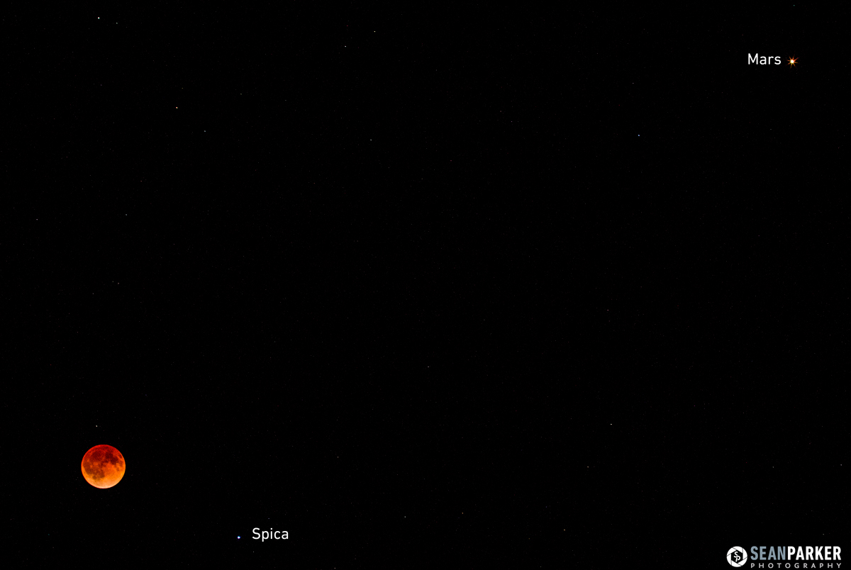 Blood Moon, Mars & Spica: April 15 Lunar Eclipse by Sean Parker