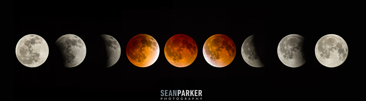 Blood Moon Phases: Total Lunar Eclipse of April 15 by Sean Parker