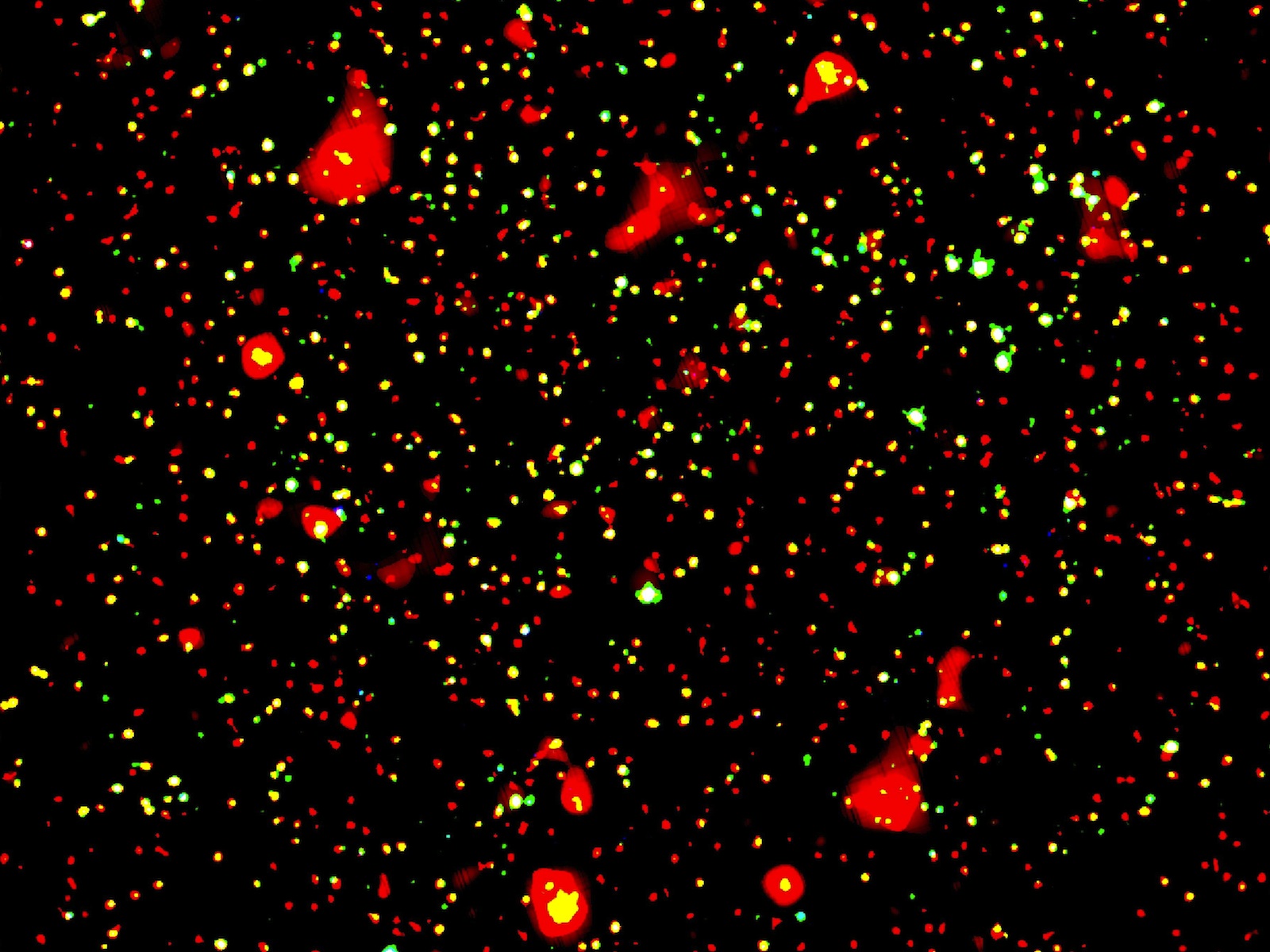 X-Ray View of COSMOS Field