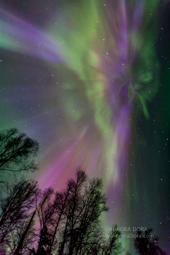 Spellbinding Colors of Northern Lights Astound Alaska Photographer