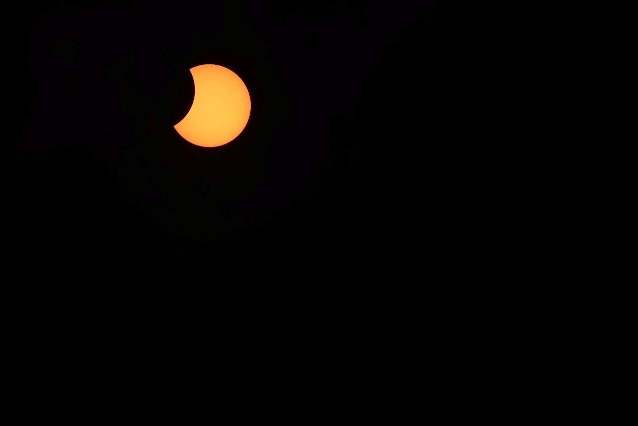 Solar Eclipse of April 29, 2014: Jay Pasachoff