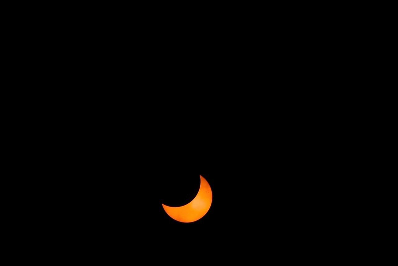 Solar Eclipse of April 29, 2014: Jay Pasachoff