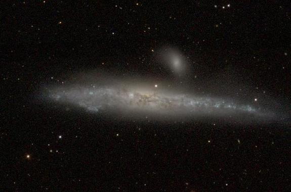 NGC 4631 is blue because it is continuing to form very luminous (but short lived) blue stars.