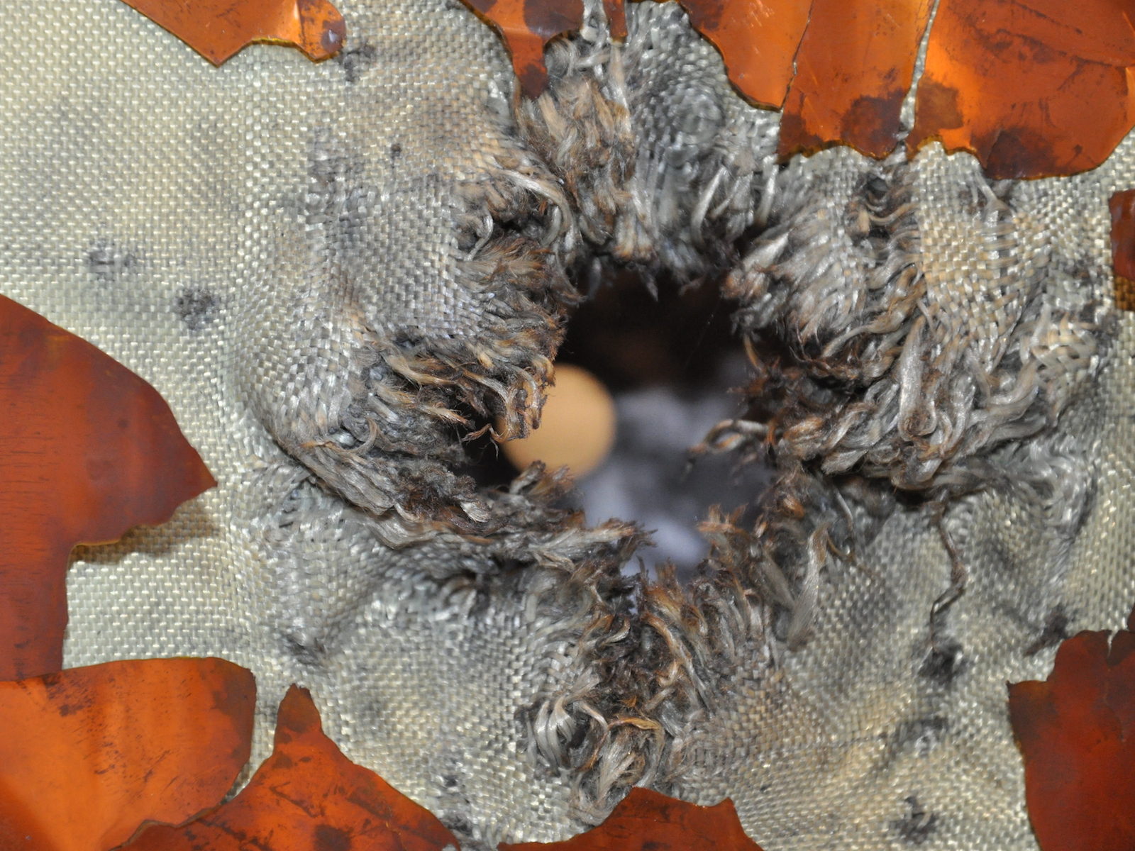 ATV Shielding After Impact Test