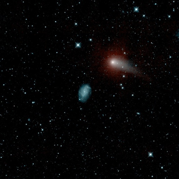 Comet C/2012 K1, also known as comet Pan-STARRS, was captured by NASA's NEOWISE probe as it swept across the sky on May 20, 2014.