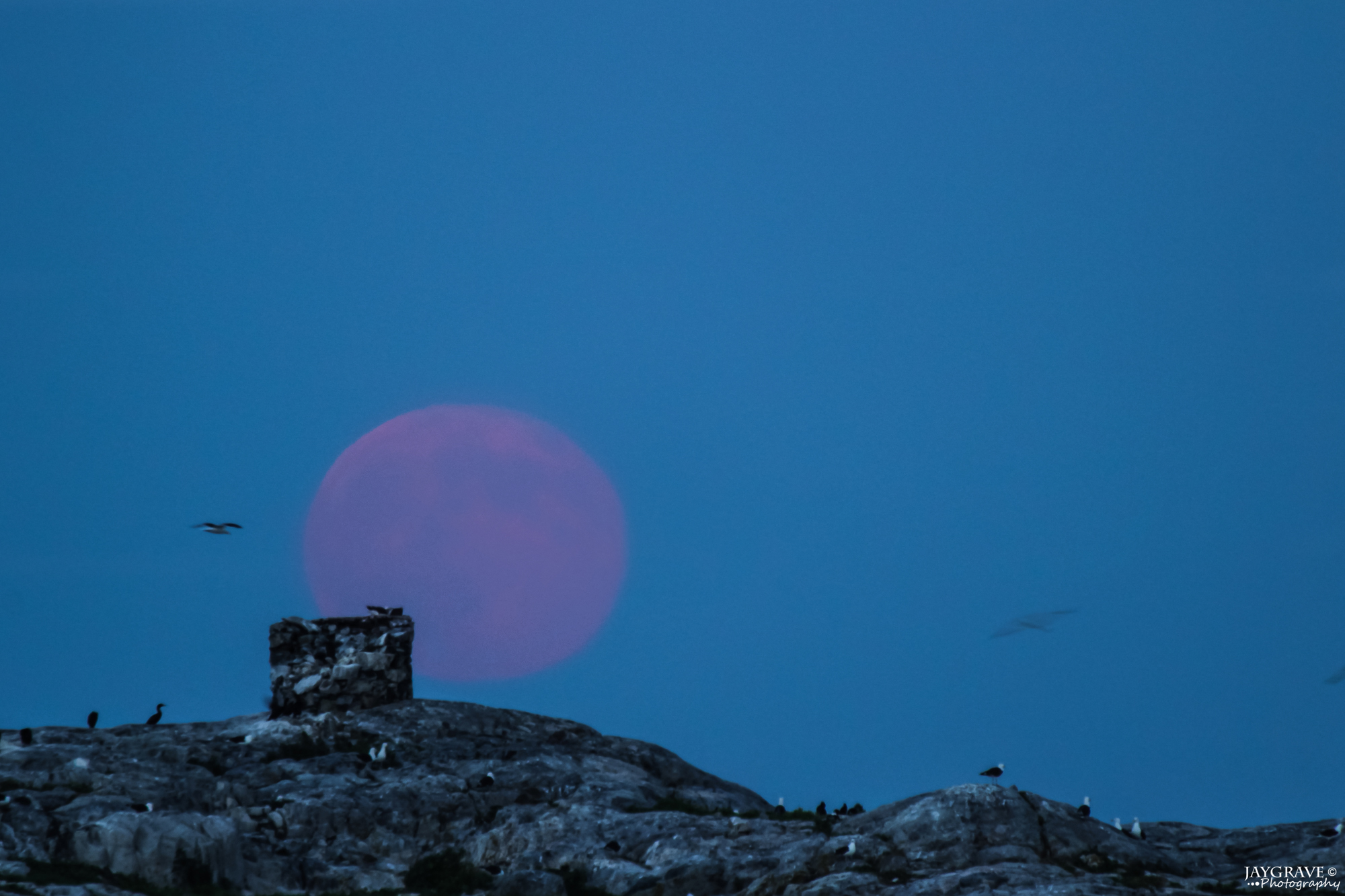 Supermoon Over Marblehead: By John Gravell