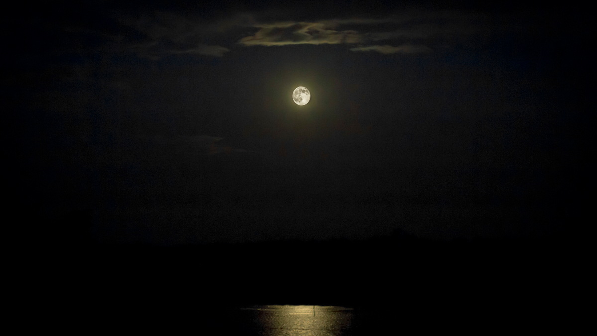 Supermoon July 2014 in Perry, Georgia over Flat Creek Park