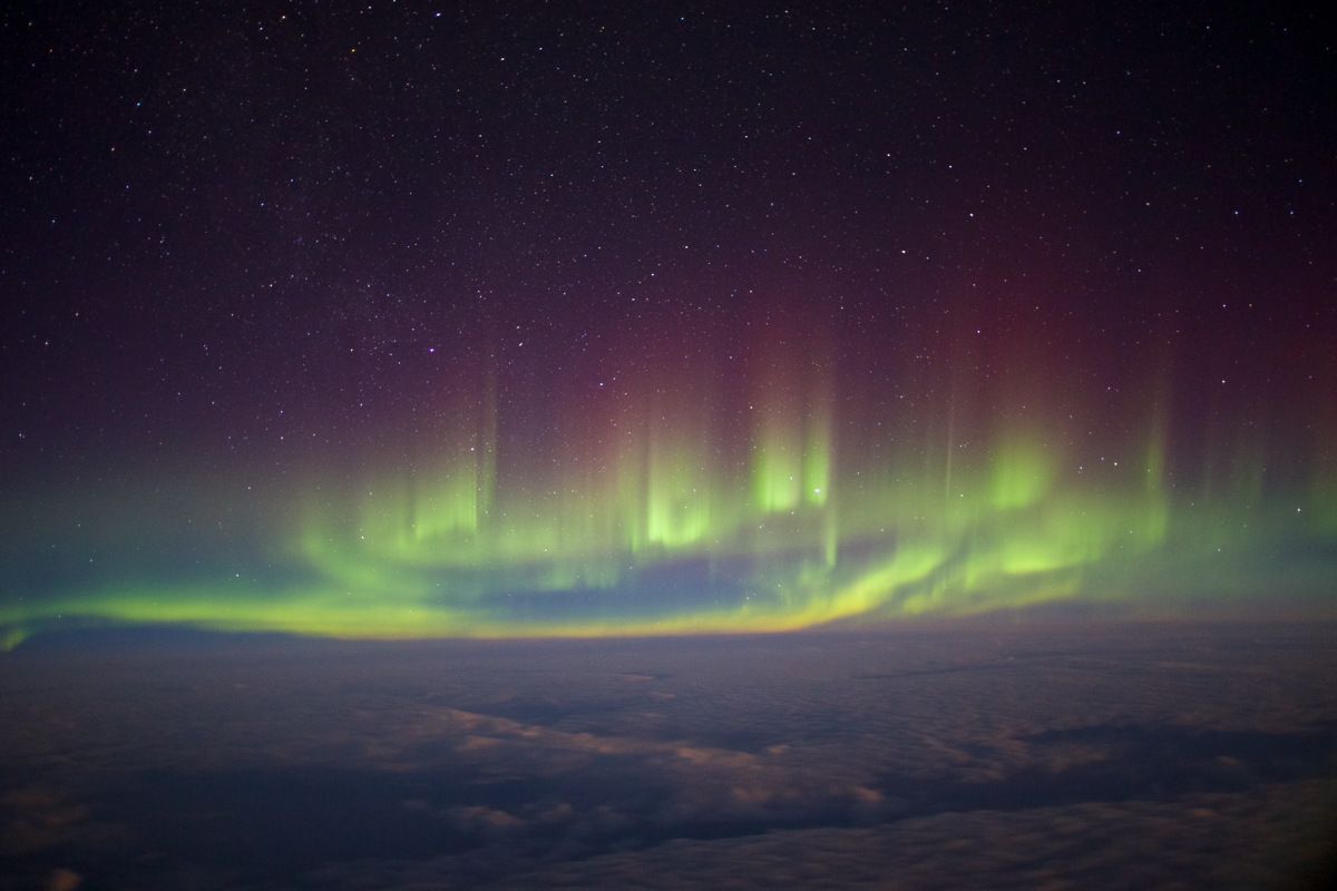 In-Flight Entertainment by Paul Williams