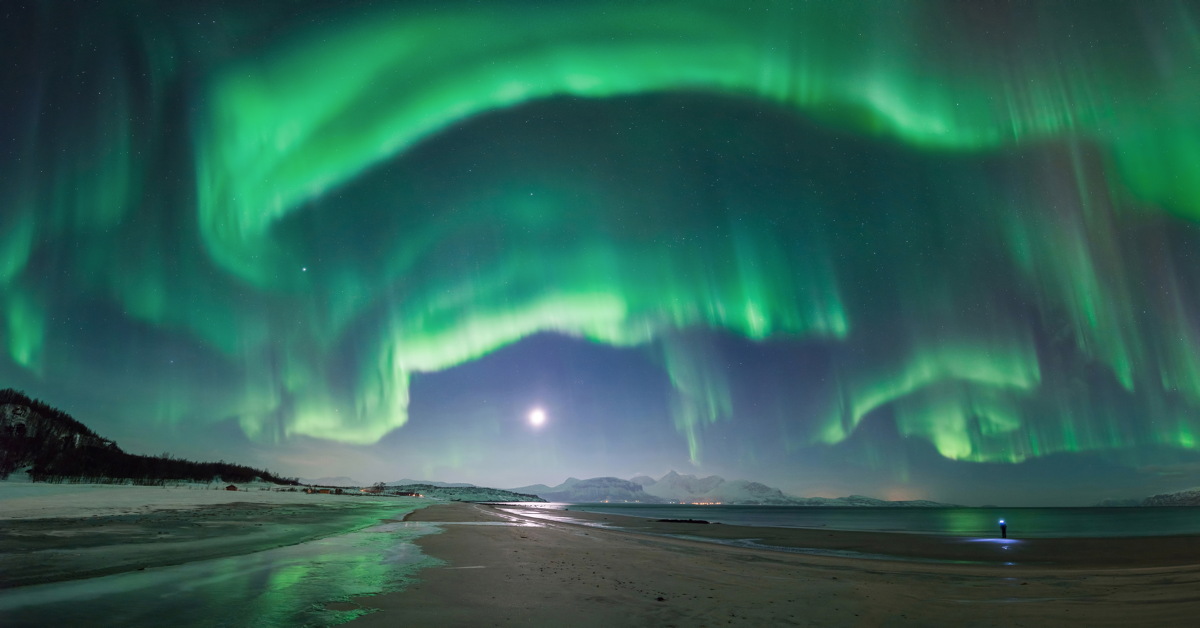 'What the...!' by Tommy Richardsen