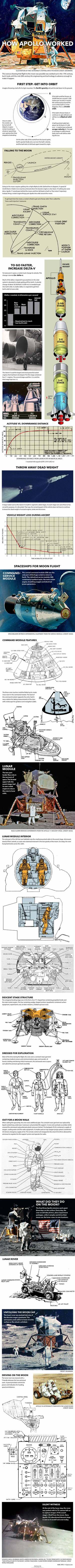 NASA's Apollo moon landings were audacious feats of engineering. <a href="http://www.space.com/26572-how-it-worked-the-apollo-spacecraft-infographic.html">See how the amazing Apollo moon landings worked in this Space.com infographic</a>.
