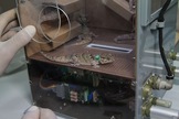 The gecko habitat on Earth before launching to space.