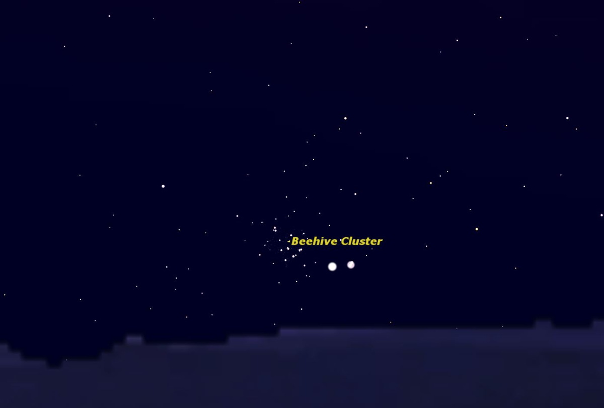 Venus and the Beehive, August 2014