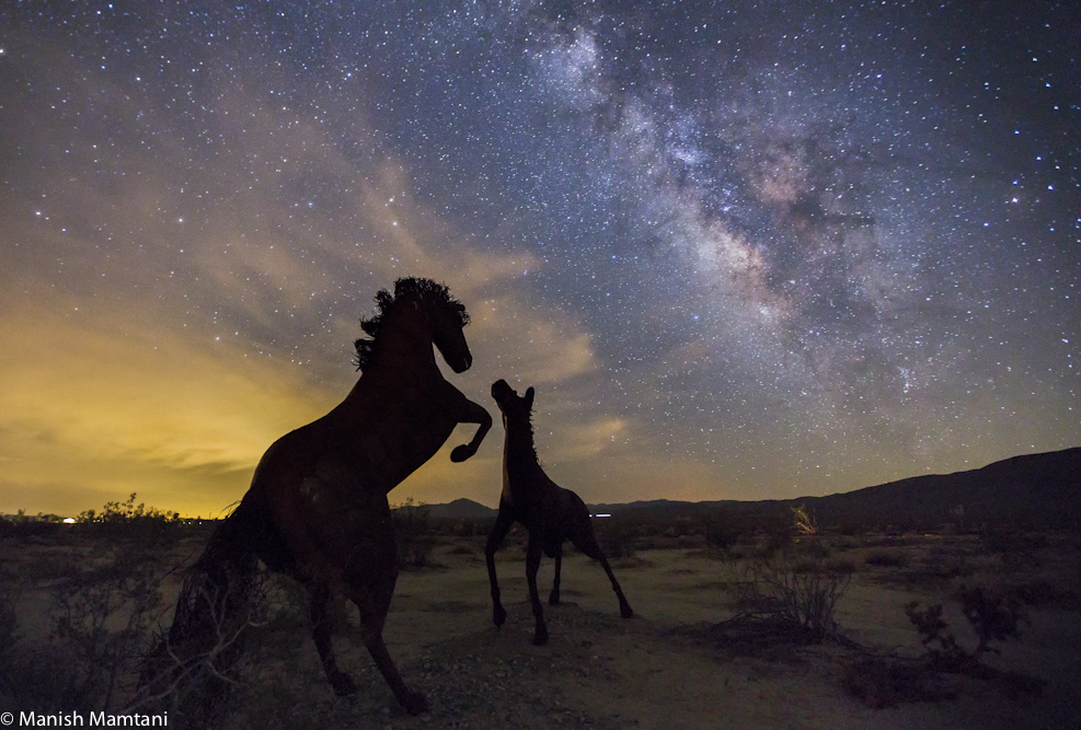 Milky Way and Horse Sculptures