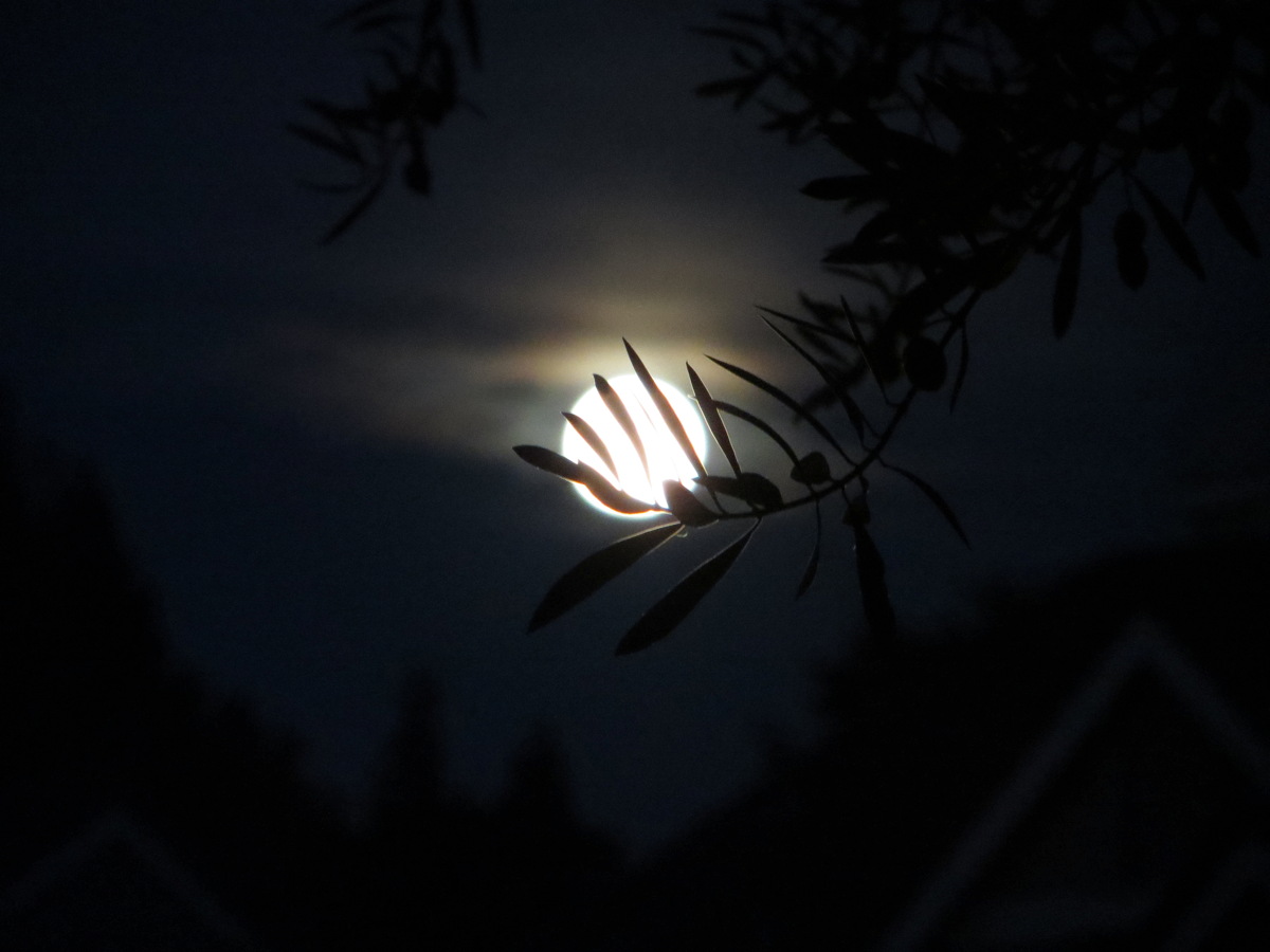 August 2014 Supermoon Over Pleasanton, California