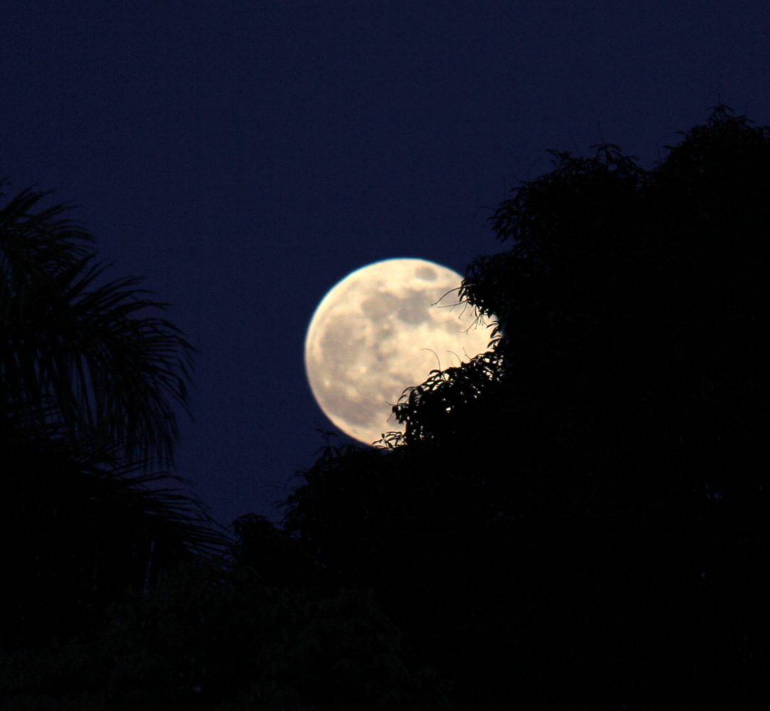 August 2014 Supermoon Over Puerto Rico